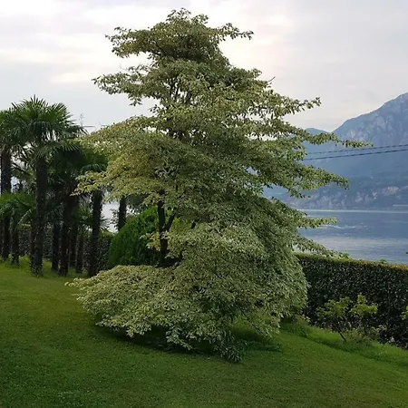 Frühstückspension Ucci